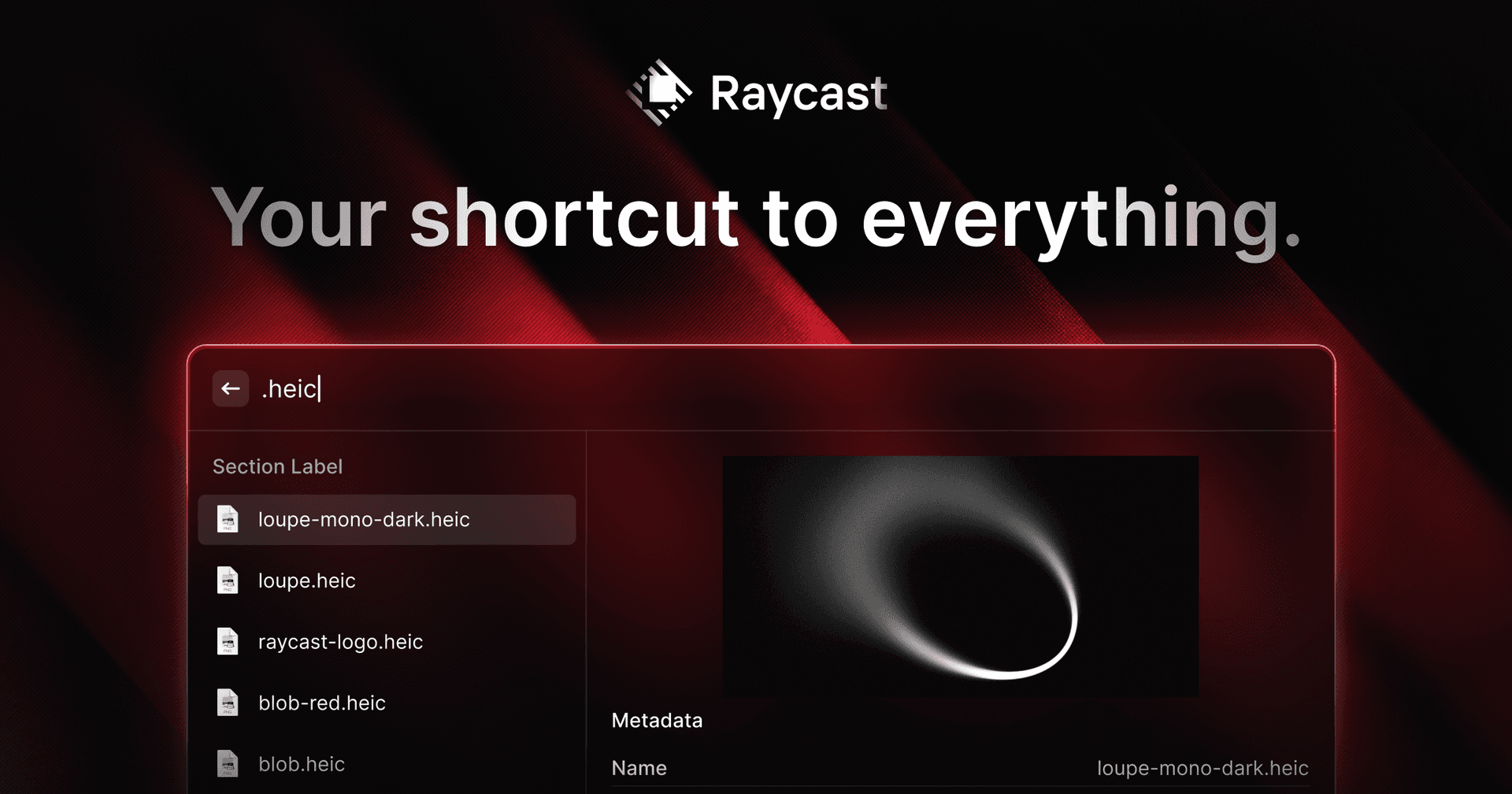 Raycast screenshot